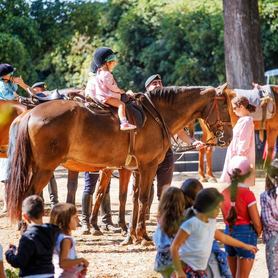 Crianças junto aos cavalos da GNR
